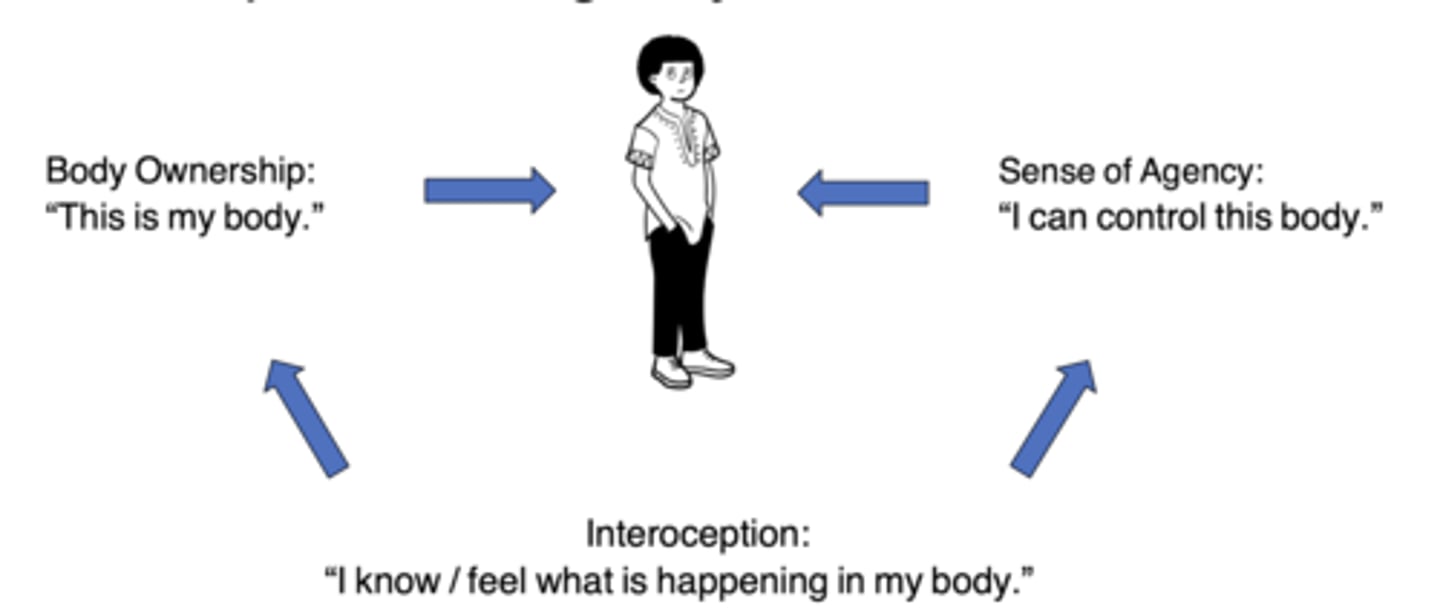 <p>Impaired interoception (ability to sense and interpret body's own internal signals)...i.e., hunger, thirst, full bladder, anxiety, fatigue</p>