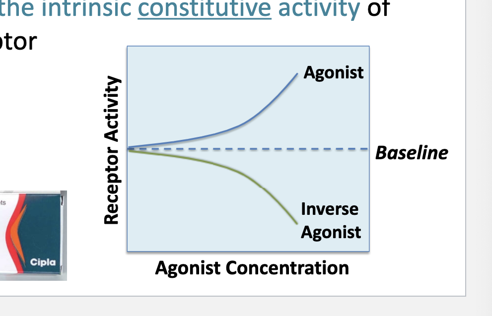 <ul><li><p>inverse agonist = molecule that binds the same binding site on a receptor as an agonist and <strong>reverses</strong> the intrinsic <u>constitutive </u>activity of the receptor</p></li></ul><p></p>