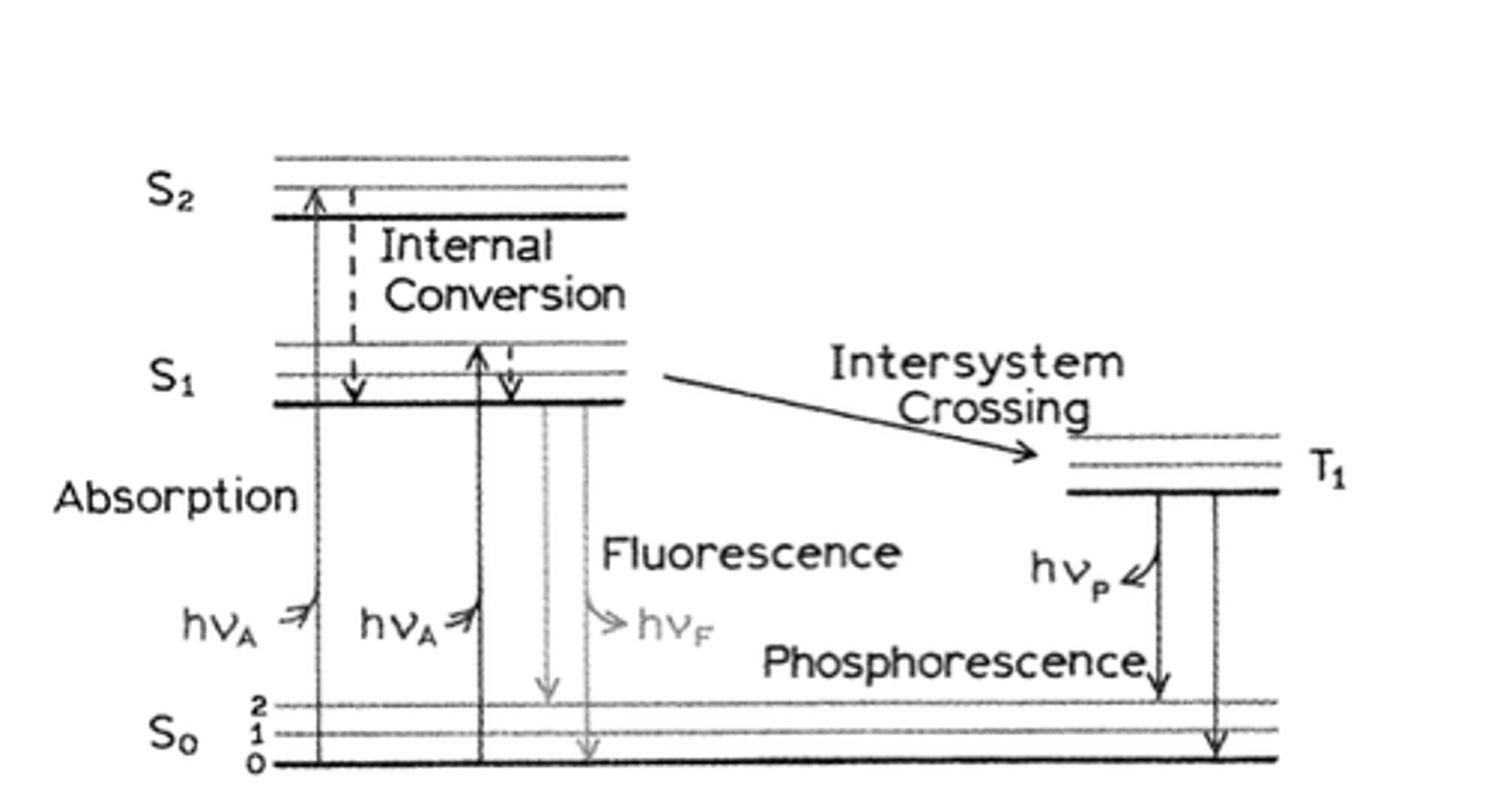 <p>The diagram depicts the ground state which electrons strive to be on, and the excited states to which electrons can jump to if given the correct energy quanta.</p><p>Excited electrons will undergo "internal conversion" in which they rotate and vibrate until they reach a semi-stable state S1 (following Kasha's rule), only from that state will they relax to the ground state.</p><p>If they emit light during this relaxation it is called fluorescence.</p><p>Intersystem crossing occurs when the electron jumps to the triple state.</p><p>From the triple state to the ground state radiative relaxation is termed phosphorescence (slower process).</p>