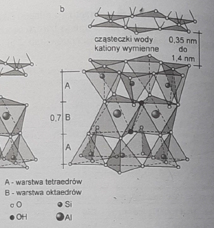 <p>jedna warstwaoktaedrów zamknięta jest między dwoma warstwami tetraedrów, zwróconymi do siebie wierzchołkami</p>