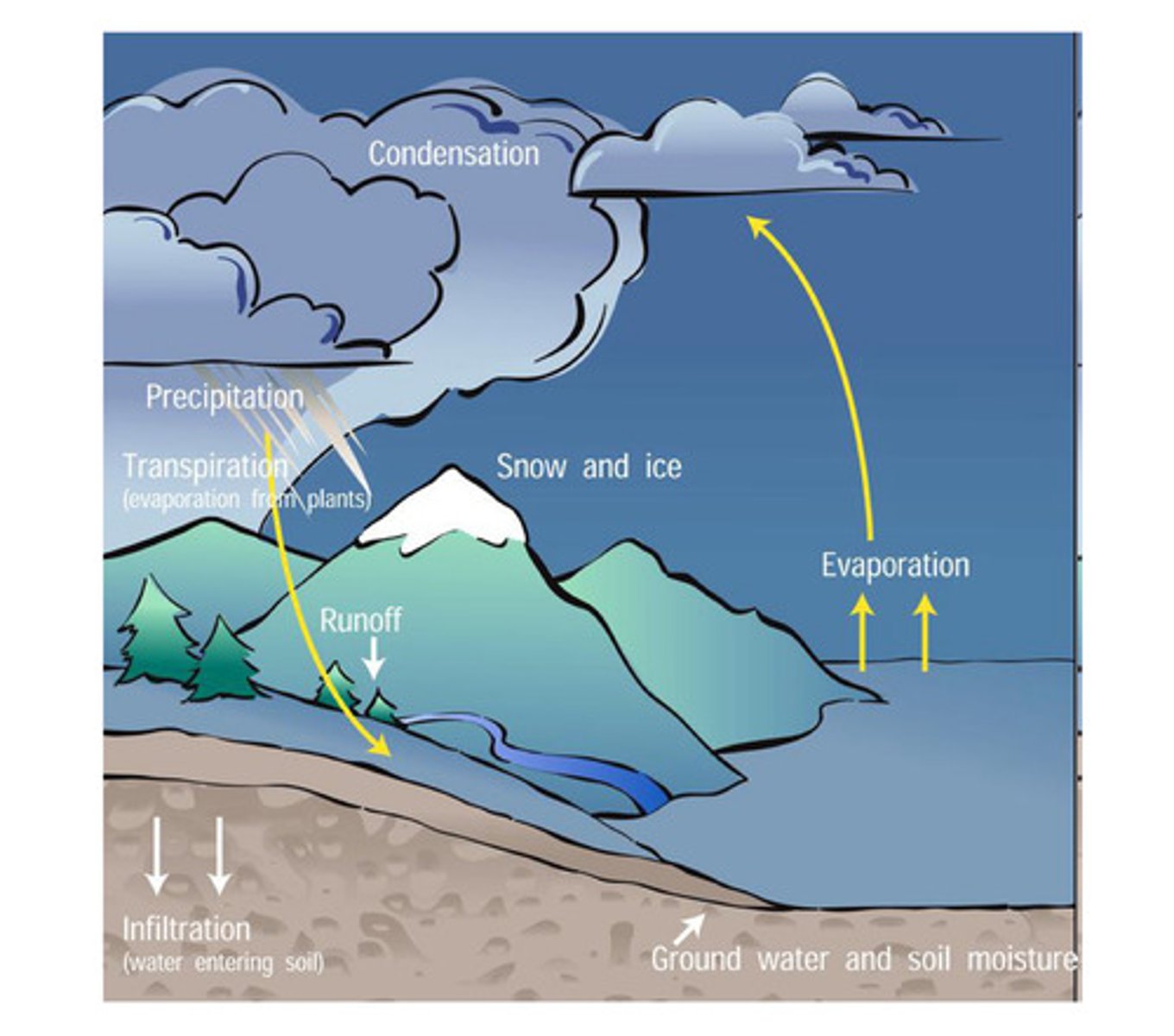 <p>Process of precipitation, evaporation, and condensation on Earth, including transpiration, runoff, and infiltration</p>