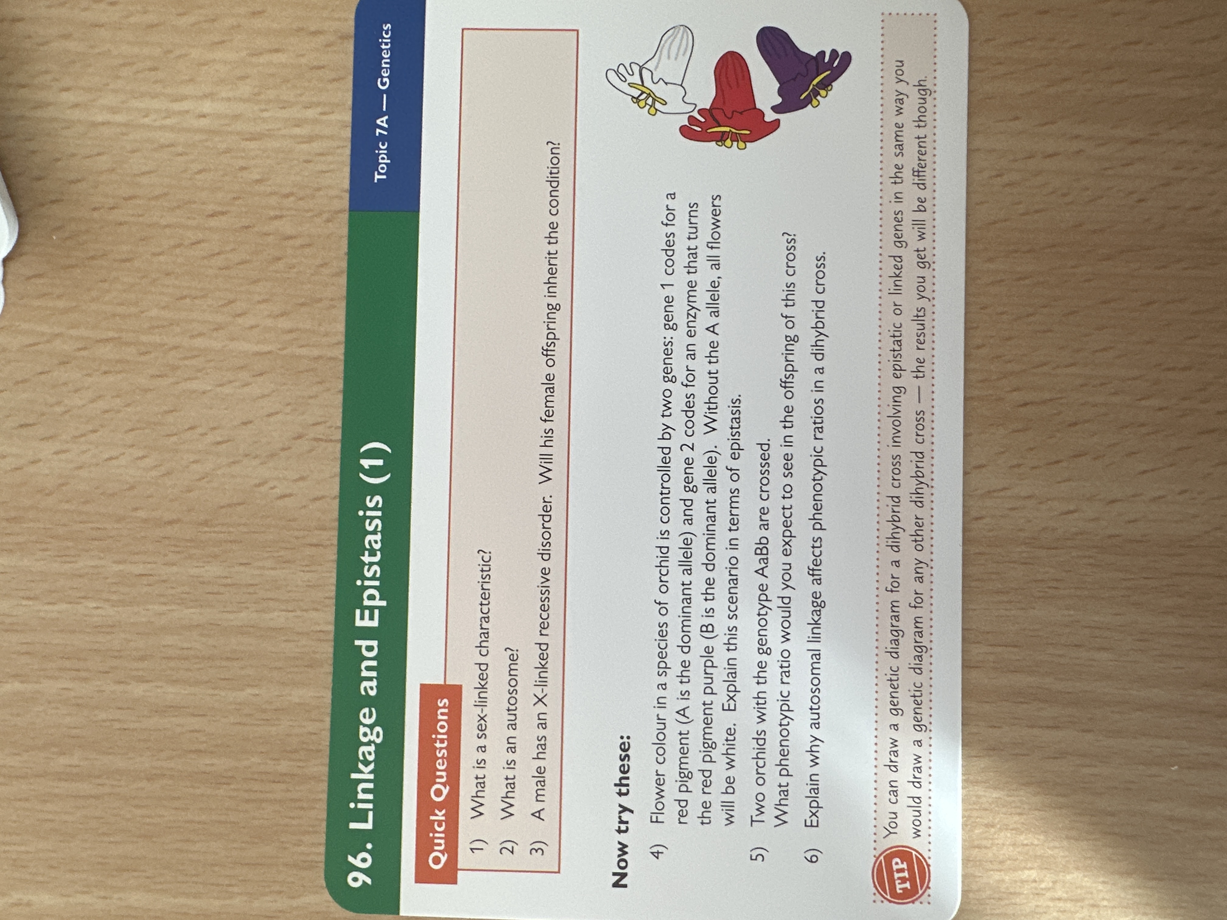 Linkage and epistasis 