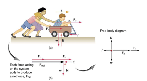 A group of interacting, interrelated, or interdependent elements or parts that function together as a whole. Often used to calculate net force.