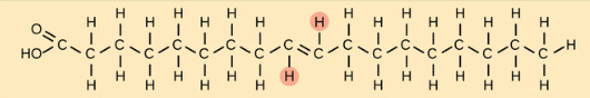 <p>An unnatural, factory-produced formation of a fatty acid that undergoes <strong>hydrogenation</strong> to put both hydrogens on an unsaturated fatty acid on the different sides, removing kinks and making them function more similarly to <strong>saturated fatty acids</strong> but can increase cholesterol</p>
