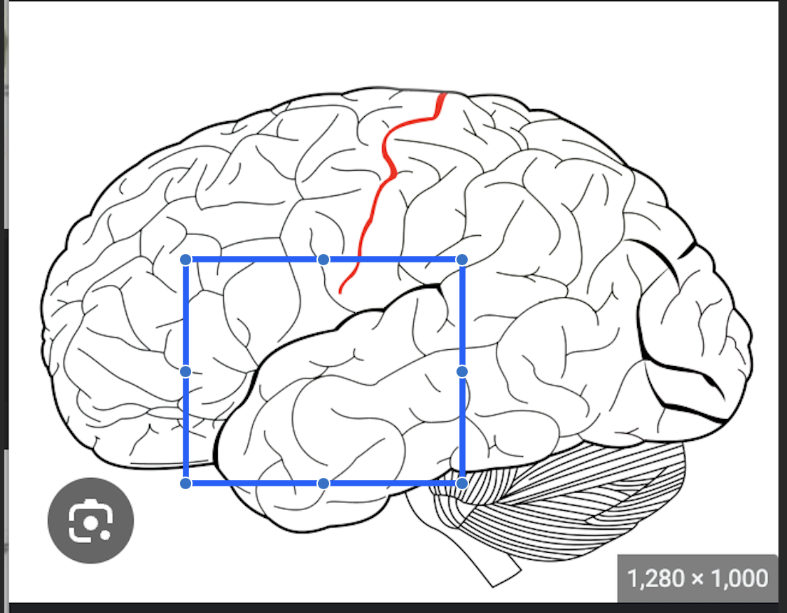 <p>what is this </p>