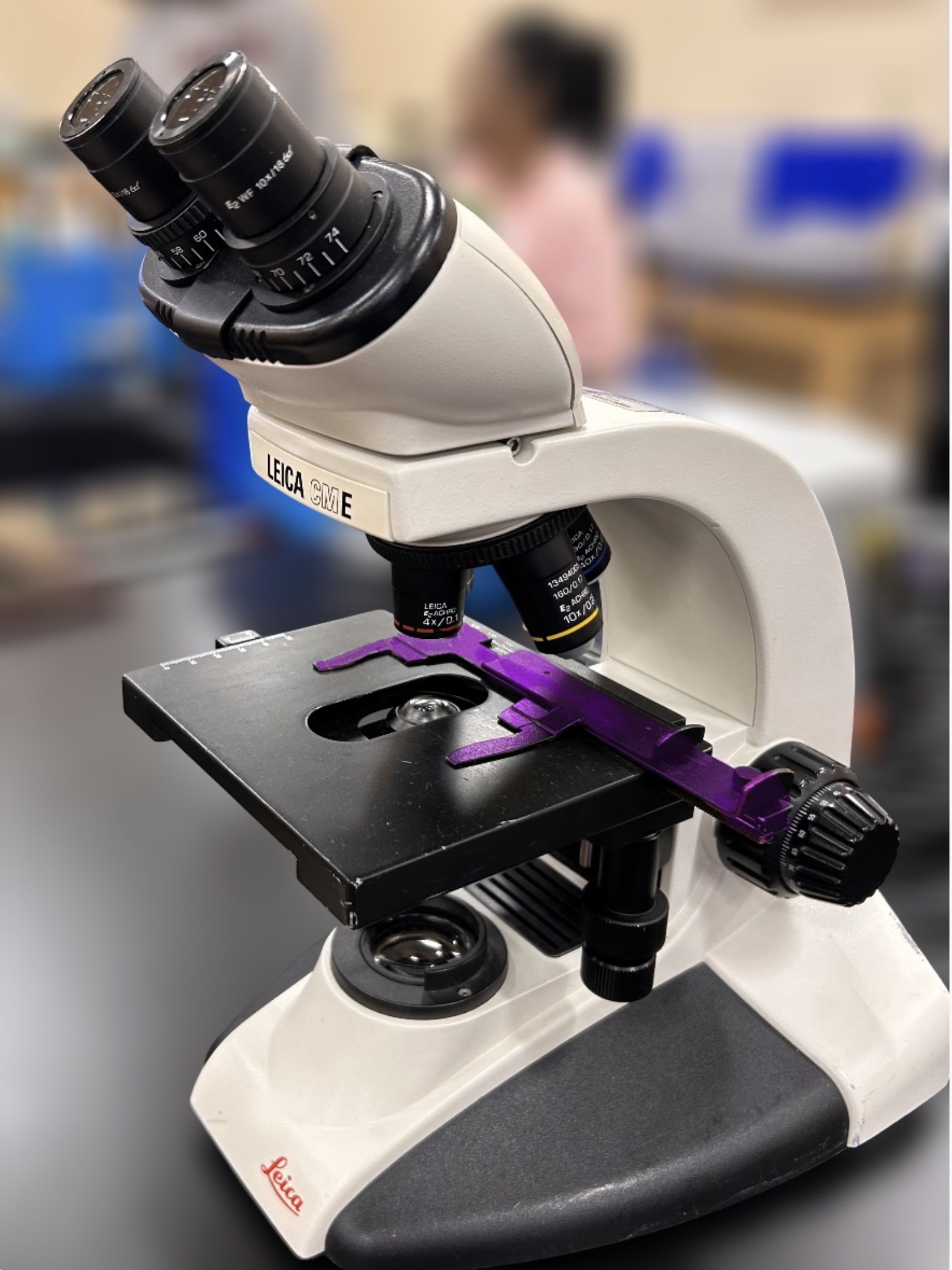 <p>Name the highlighted region.</p><p>Hint: holds the object in place. </p>