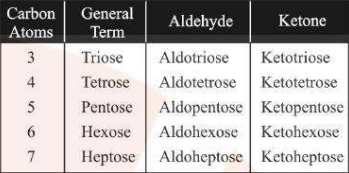 <p><strong>Based on Functional Group</strong></p><ol><li><p><u>Aldose:</u> Monosaccharide containing an aldehyde (-CHO) group.</p></li><li><p><u>Ketose:</u> Monosaccharide containing a keto (&gt;C = 0) group.</p></li></ol><p><strong>Based on the Number of Carbon Atoms</strong></p><p>Monosaccharides containing 3 carbon atoms are called triose, 4 carbon atoms are called tetrose etc. (see image)</p><p></p>