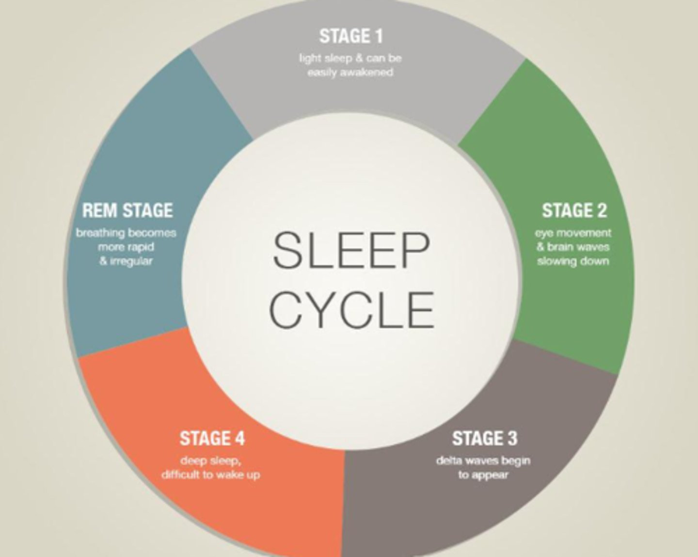 <p>Stage 1: Light sleep (e.g. can be easily awakened)</p><p>Stage 2: Eye movement and brain waves slow down</p><p>Stage 3: Delta waves begin to appear</p><p>Stage 4: Deep sleep (e.g. difficult to wake up)</p><p>Stage 5: Rapid eye movement (e.g. rapid/irregular breathing)</p>