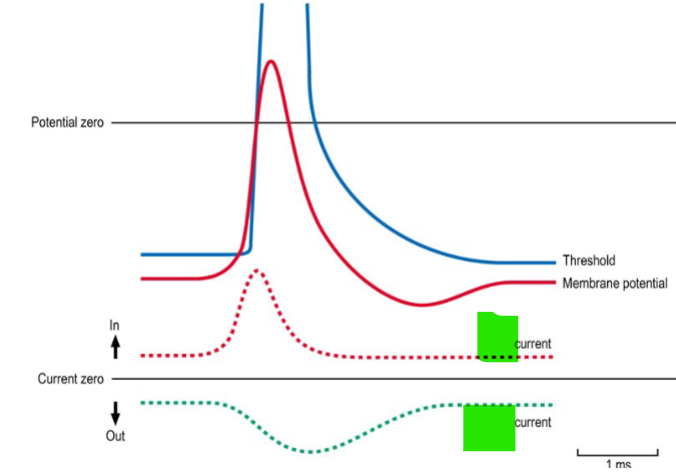 <p>Which ion is represented by each dotted line</p>