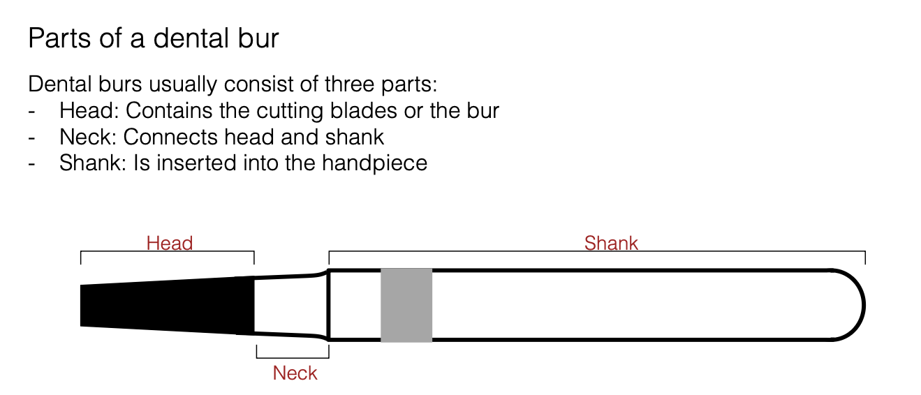 <p>Head: Contains the cutting blades or the bur</p><p>Neck: Connects head and shank</p><p>Shank: Is inserted into the handpiece</p><p></p>
