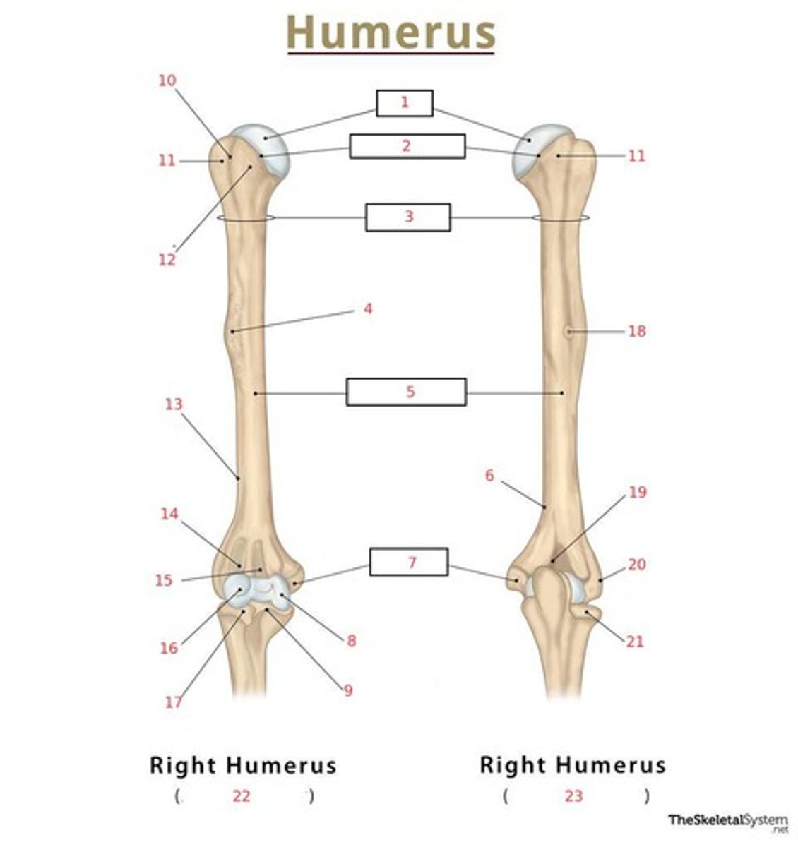 <p>What is #5?</p>