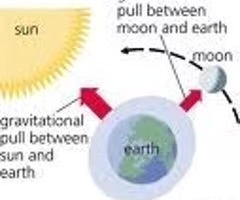 <p>the periodic rise and fall of the sea level under the gravitational pull of the moon and sun</p>