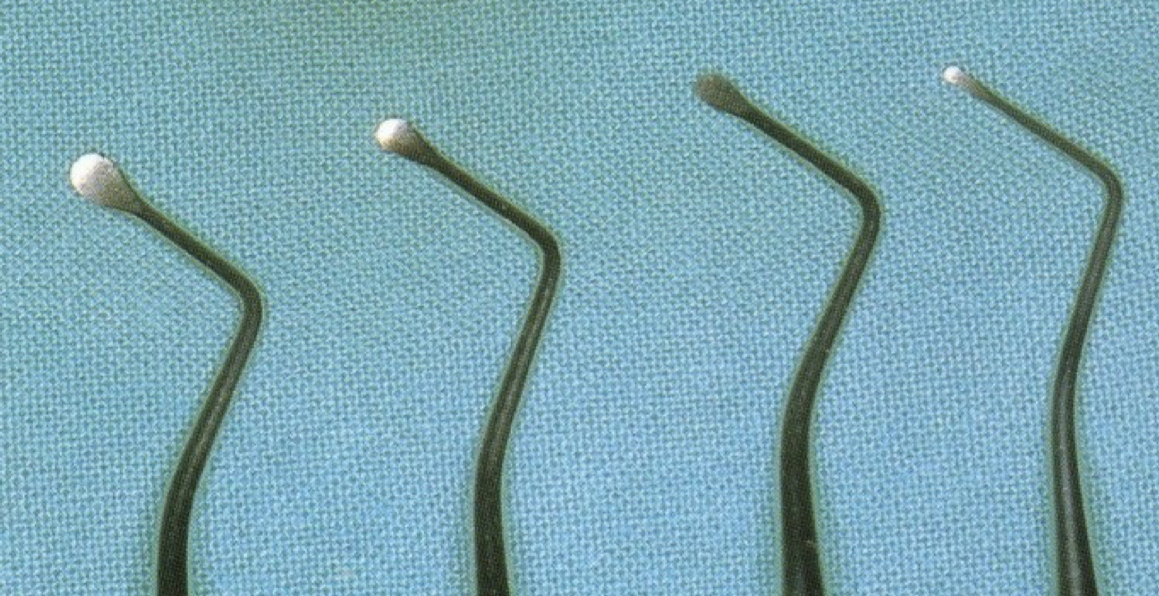 <p>Lucas- flatter </p>