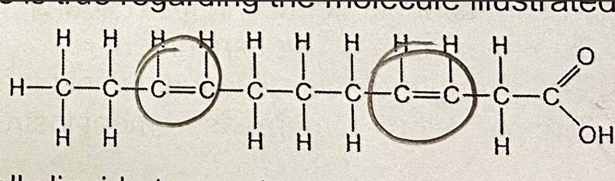 <p>Which of the following statements is true regarding the molecule illustrated below? </p><p>A. It is a saturated fatty acid</p><p>B. It is a triglycerol</p><p>C. Molecules of this type are usually at room temperature</p><p>D. A and B only</p><p>E. A,B, and C</p>