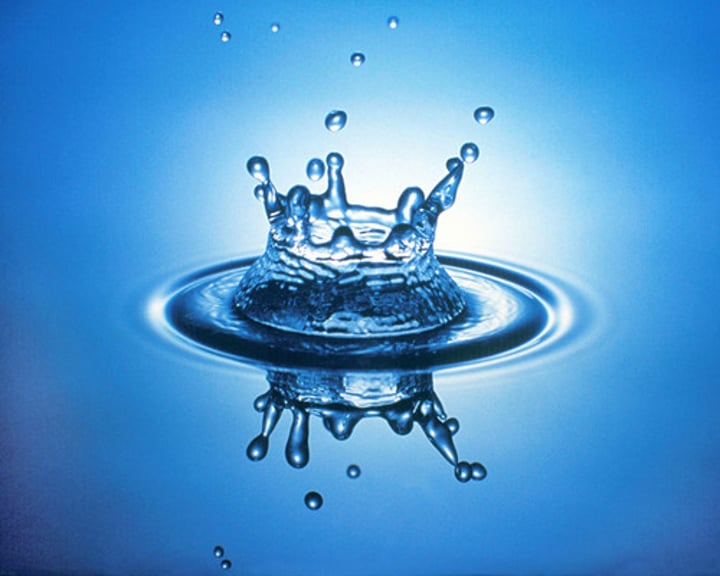 <p>Water - due to its polarity and ability to dissolve other polar molecules</p>