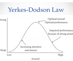 <p>the psychological principle stating that performance is best under conditions of moderate arousal rather than either low or high arousal</p><p></p>