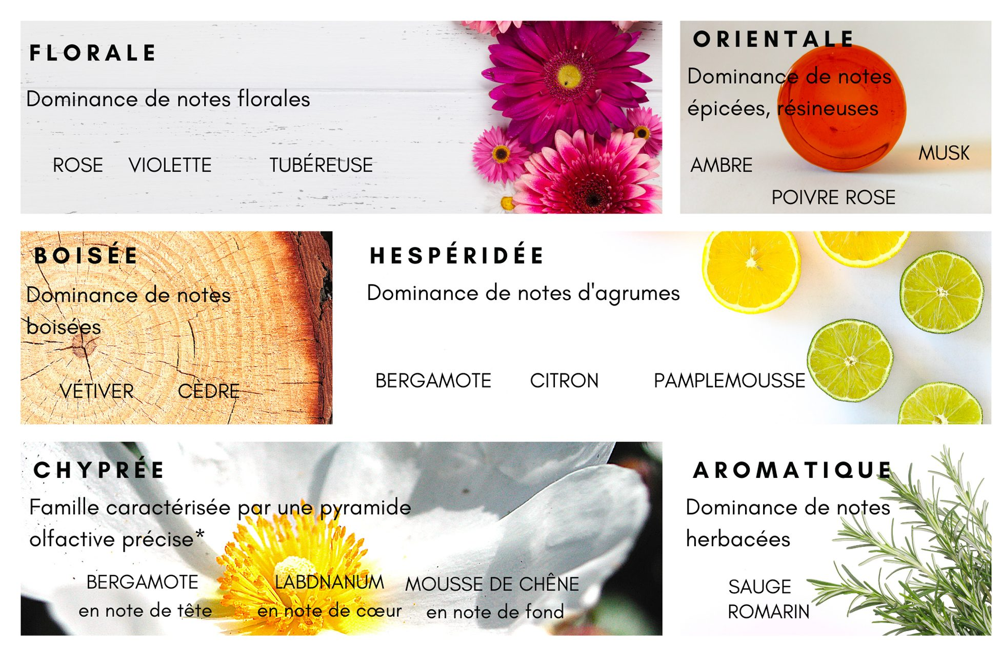 <p>Quels sont les différentes facette de parfums</p>