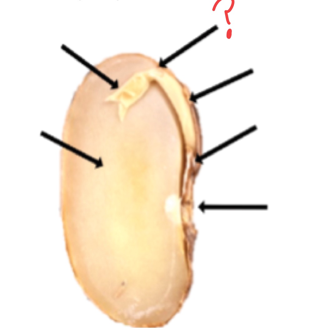 <p>What is this?</p>