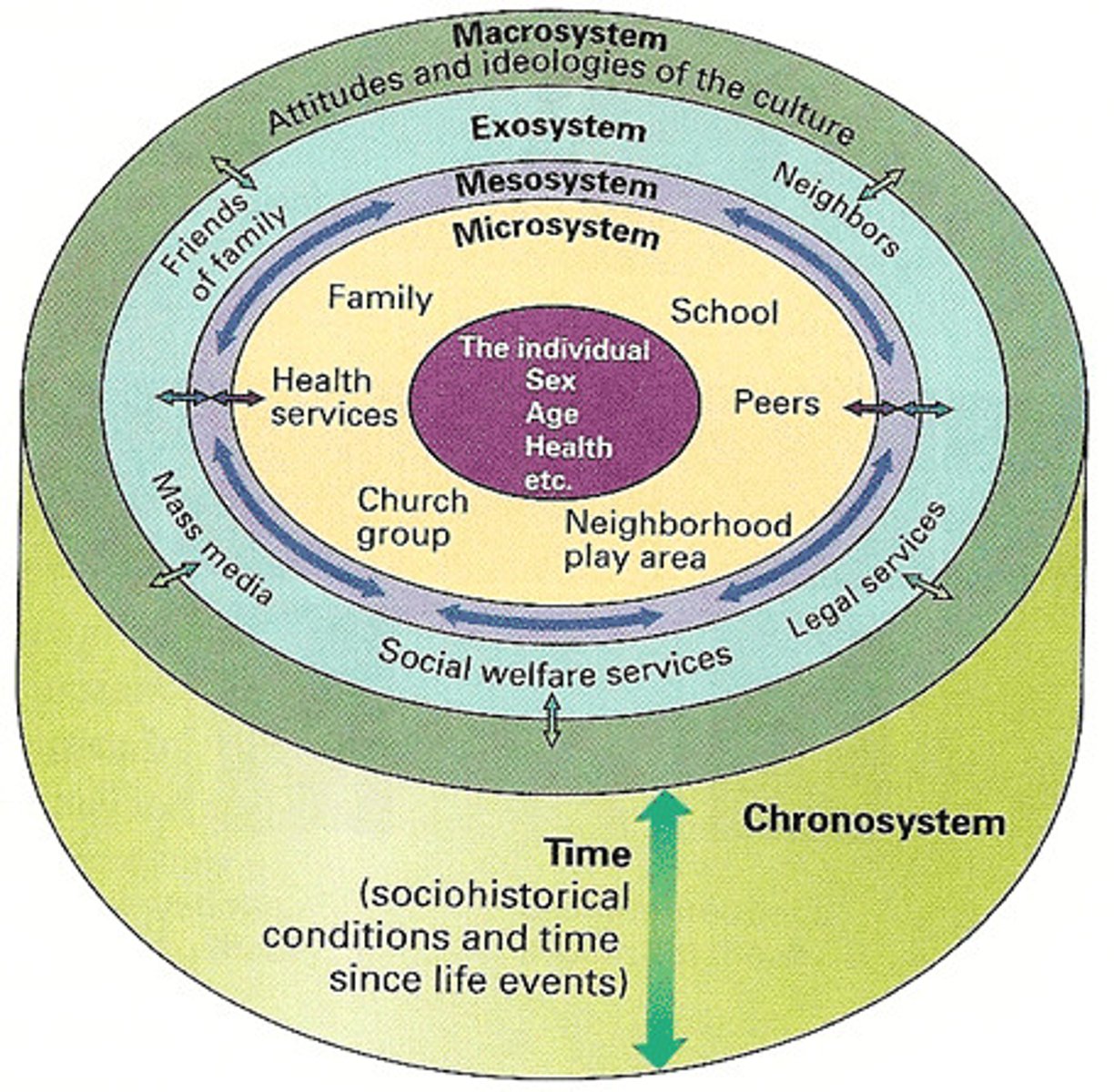 <p>1. You</p><p>2. Microsystem (family, school, peers, work, church)</p><p>3. Mesosystem (family, school, peers, work, church)</p><p>4. Exosystem (Economic, political, education, government)</p><p>5. Macrosystem (Overarching beliefs and values)</p><p>6. Chronosystem (Dimension of time)</p>