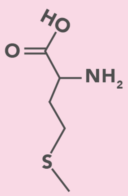 <p>Aliphatic (Nonpolar)</p>