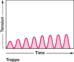 treppe