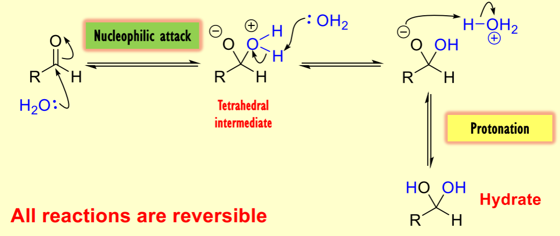 <p>The reaction is reversible, leading to the formation of a hydrate as a potential product.</p>