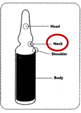 <ul><li><p>neck/opening </p></li></ul>