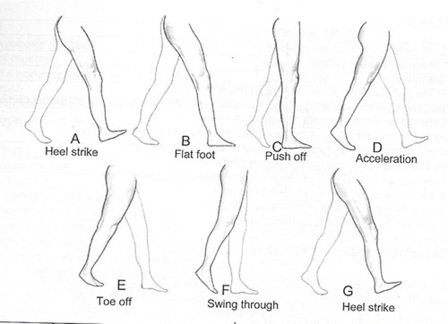 <p>a particular way of walking or manner</p>