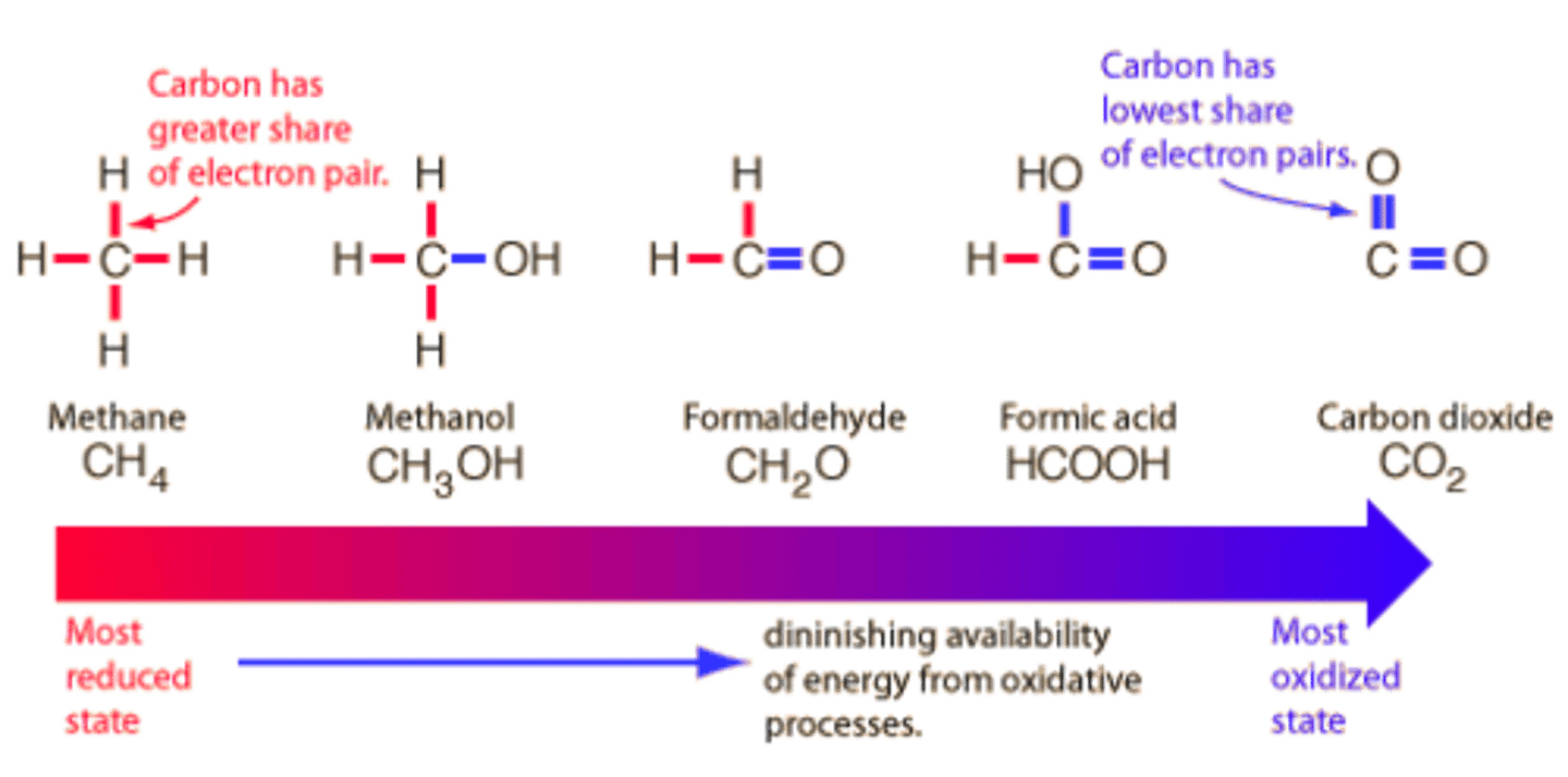 <p>From a biological point of view, reduction is the gain of bonds to hydrogen atoms while oxidation is the loss of bonds to hydrogen atoms.</p><p>Additionally, reduction is the loss of bonds to oxygen atoms while oxidation is the gain of bonds to oxygen atoms.</p>