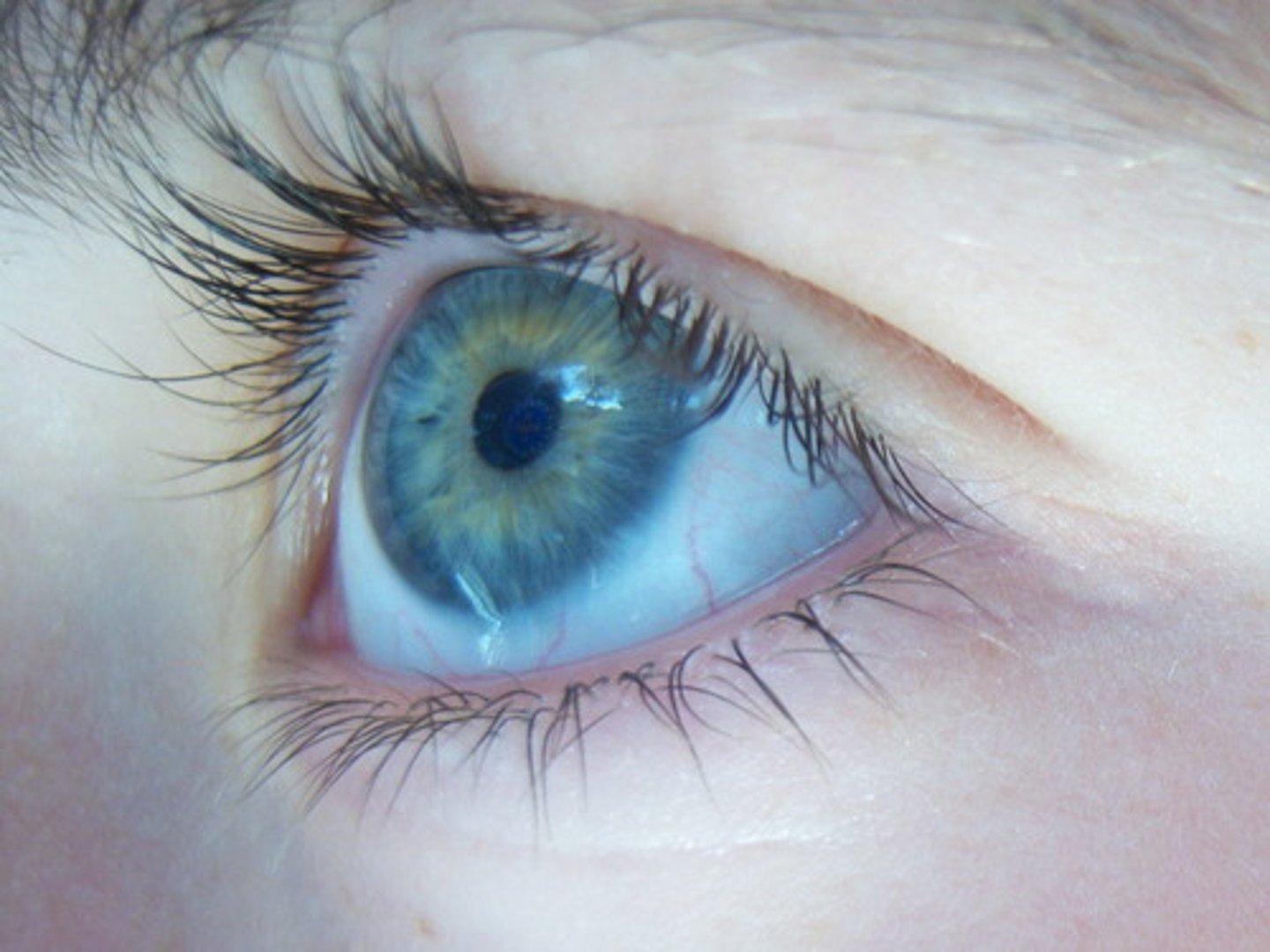 <p>May I/Can I see...?</p>