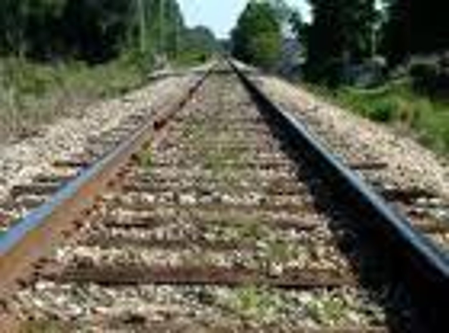 <p>Images viewed the same by BOTH eyes.</p><p>(Ex: Regardless if you cover one eye, you see the exact same image of the railroad track.)</p>