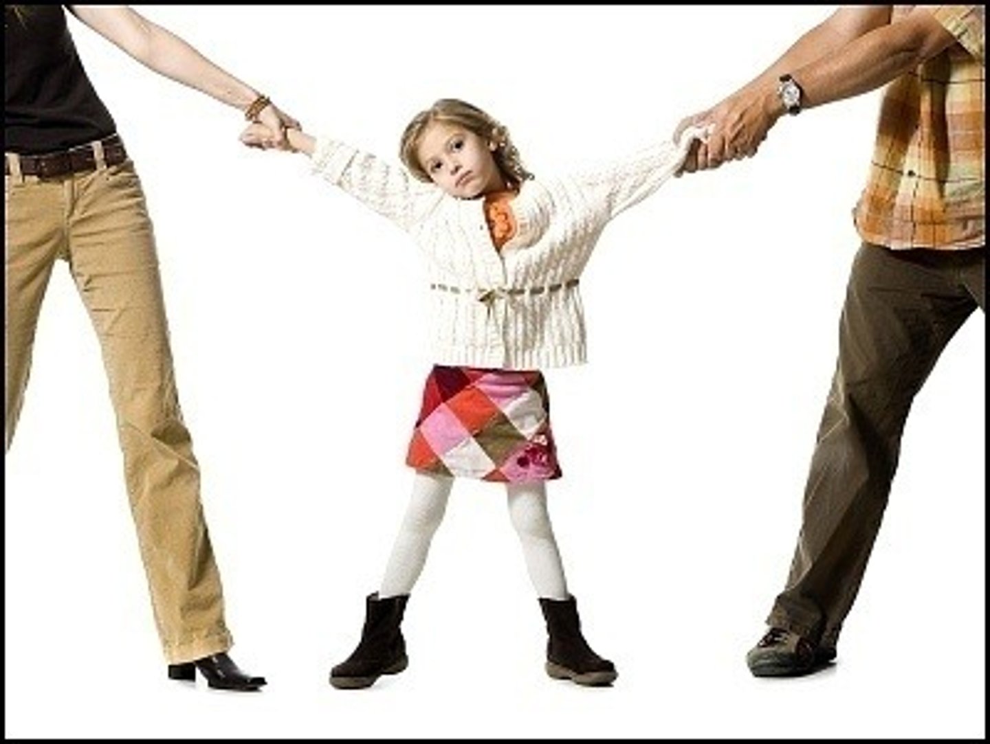 <p>custody of the children</p>