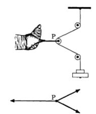 <p>based on this image, what are the 3 types of forces present: </p>