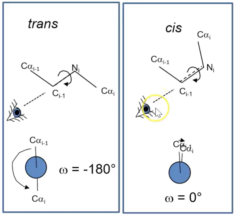 <p>ω = 0º</p>