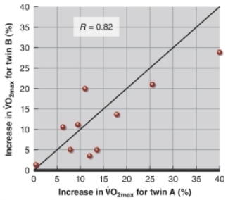 <p>Individuality principle</p>