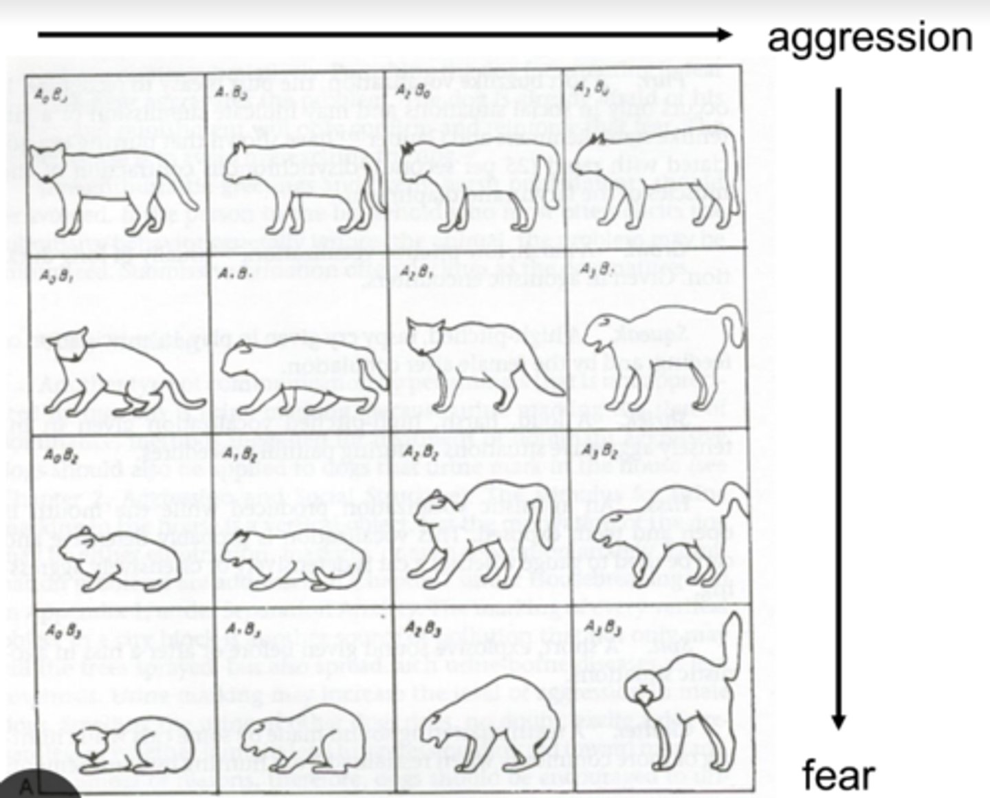 <p>• Cats use tail, face, ears, mouth and</p><p>hair to convey moods and emotions,</p><p>but have more variations than dog</p><p>• Instead of lying positions (that dogs</p><p>use), they use crouching positions</p><p>In general</p><p>• tail is high when greeting or investigating</p><p>• tail is low and the tip is wagging</p><p>when hunting</p><p>• walking on tiptoes;</p><p>• head lowered;</p><p>• back arched;</p><p>• hair raised; and</p><p>• mouth open with teeth exposed</p><p>are usually signs of aggression</p>