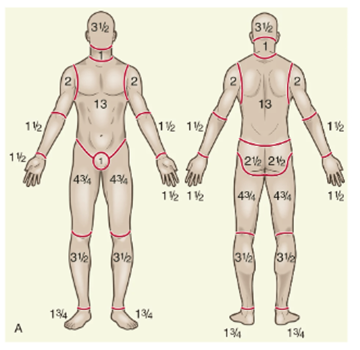 <p>- Considered more accurate because the patient's age, in proportion to relative body-area size, is taken into account</p>