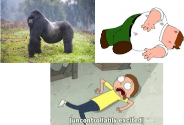 <p>Unsteady gait &amp; stance, knuckling of fetlocks, becoming</p><p>progressively ataxic</p><p>Oft found in lat or sternal recumbency in an</p><p>obtunded state (~stupor) with muscle tremors, and sometimes convulsions</p>