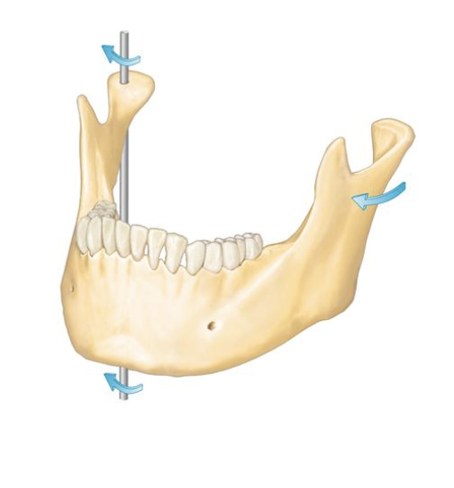 <p>Axis of rotation</p>