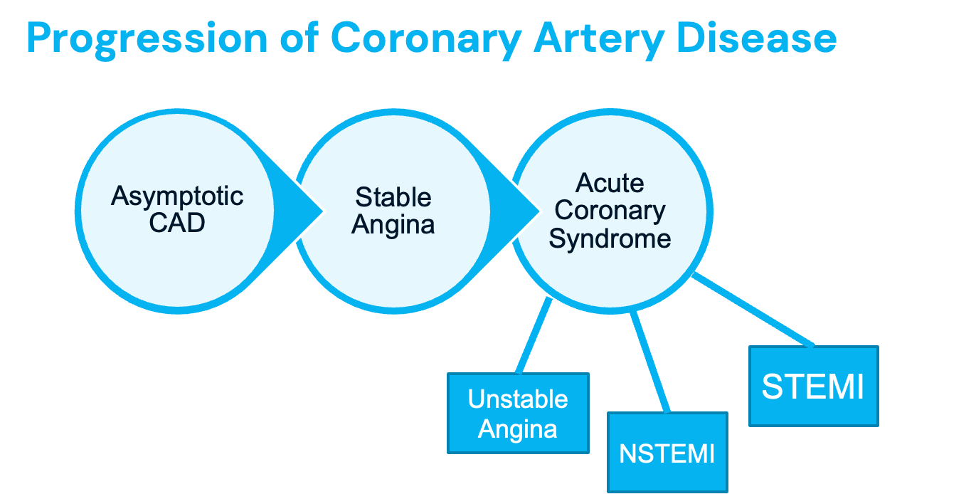 <p>Progression of <strong>Coronary Artery Disease </strong></p>