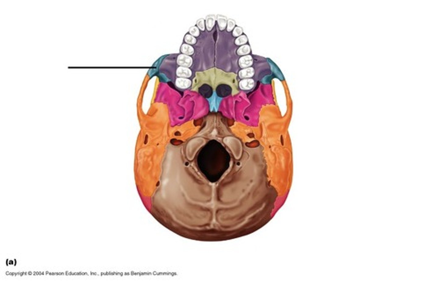 knowt flashcard image