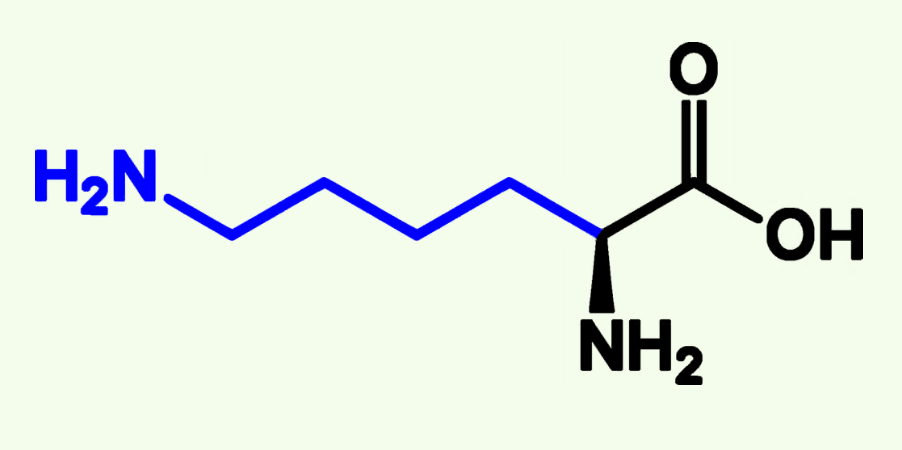 <p>Lys (K)</p><p>Basic Polar</p><p>Pka ≈ </p>
