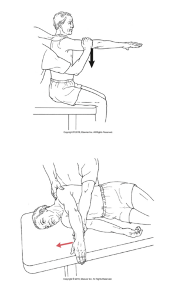<p>What is being tested in this image?</p>
