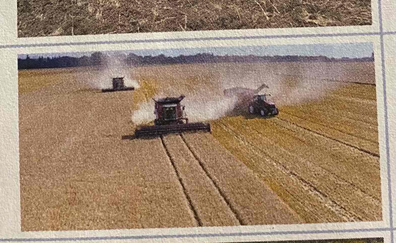<p><span>Laisser les plantes mortes se décomposer sur le sol lui redonne des éléments nutritifs. Une culture trop intensive ne laisse pas le temps aux plantes de se décomposer. Les engrais chimiques sont alors surutilisés pour compenser.</span></p>