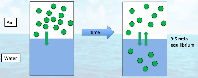 <p>in-gassing occurs from __ to equilibrium </p>