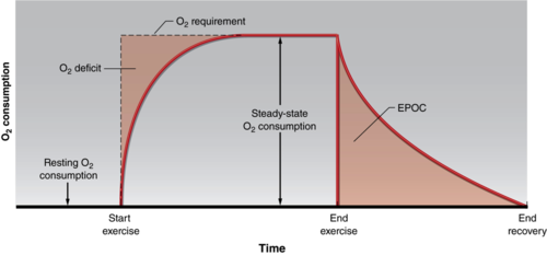use up cellular pools of ATP/PCr and produces lactic acid
