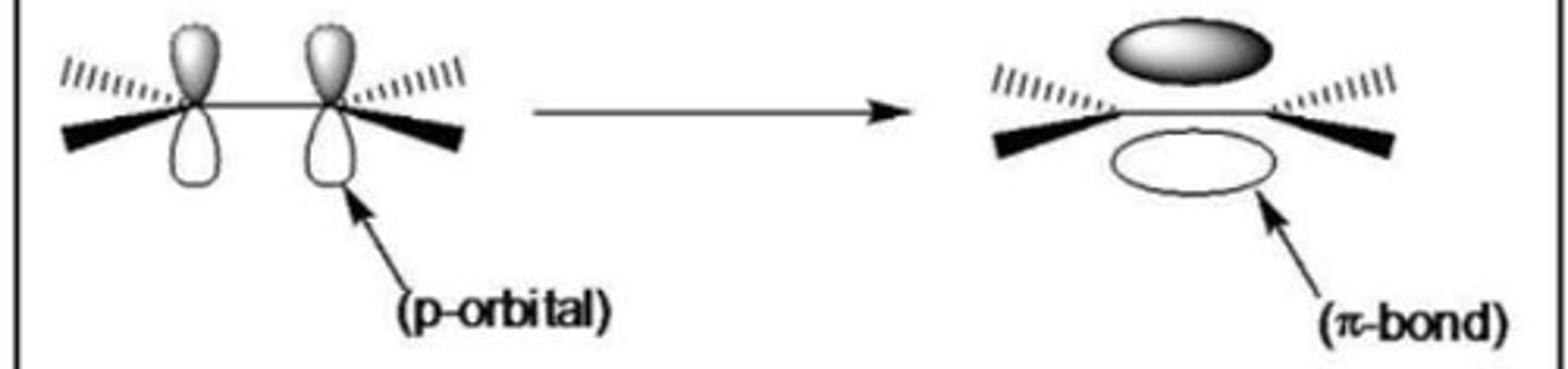 <p>The sideways overlap of adjacent p orbitals to form a π bond above and below the plane of the molecule</p>