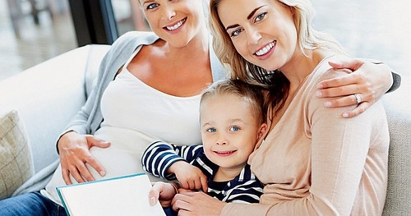 <p>une famille qui se compose de deux parents de même sexe qui adoptent un / des enfant(s)</p>