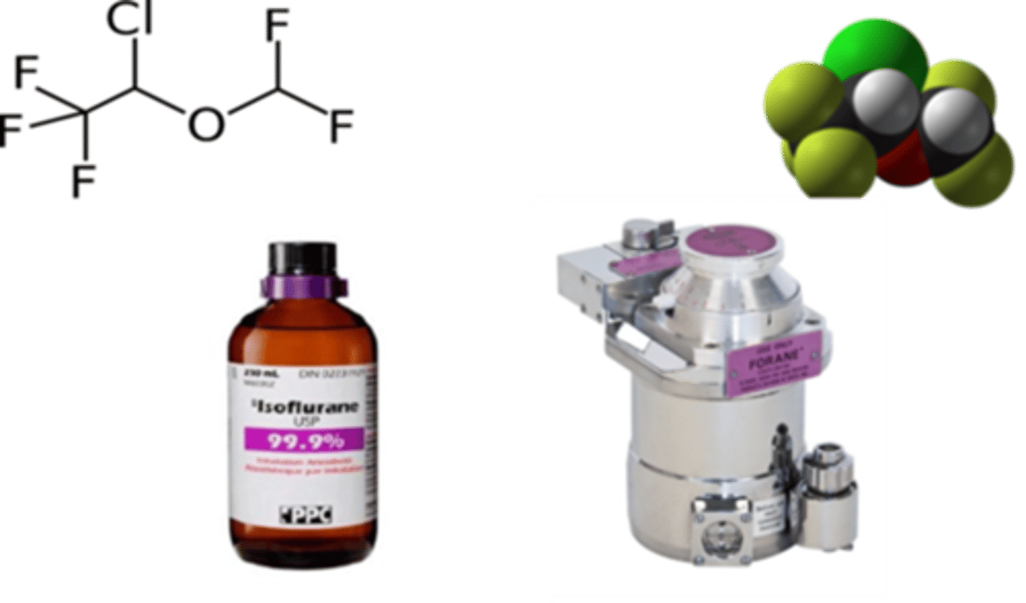 <p>- Isoflurane has lower solubility than Halothane (so iso has faster induction).</p><p>- Isoflurane is generally considered safer in terms of maintaining cardiovascular stability (dose-dependent) due to its minimal myocardial depression and better preservation of cardiac output, though it can cause vasodilation and reflex tachycardia (to compensate for lowered BP from vasodilation). In contrast, halothane has more pronounced myocardial depressant effects and a higher arrhythmogenic potential, making it less favourable in patients with pre-existing cardiovascular issues.</p><p>- Studies have shown significantly fewer anaesthetic deaths in cats, dogs, and horses with Isoflurane compared to Halothane.</p>