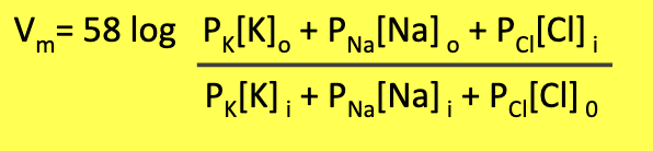 <ul><li><p>Helps us understand:</p><ul><li><p>How fast membrane potential changes when permeability changes</p></li><li><p>Magnitude of Na+, K+, Cl− currents</p></li></ul></li><li><p>Ion currents act like circuits → create signals in nerve cells</p></li></ul><p></p>